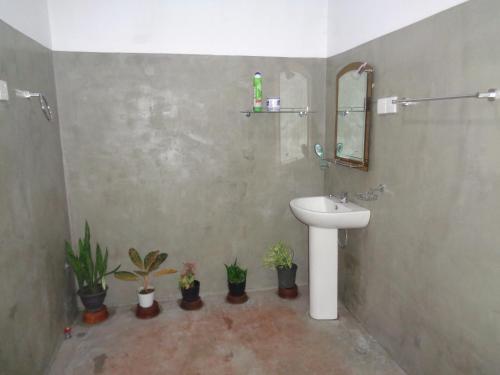 a bathroom with a sink and a mirror and potted plants at Green Valley Home stay in Talpe