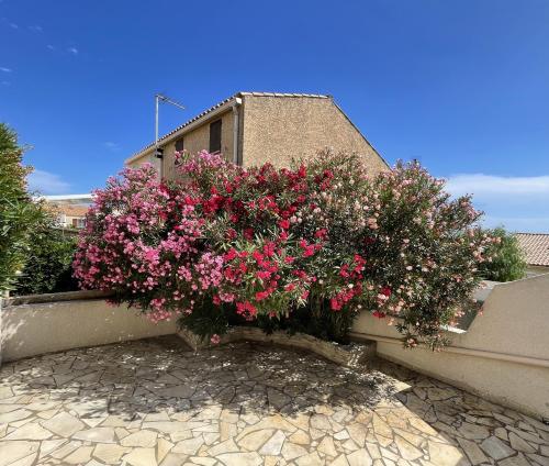 La Maison sur la côte