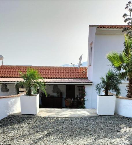 a white house with two palm trees in front of it at Bed & Breakfast Casa Ceratonia in Alora