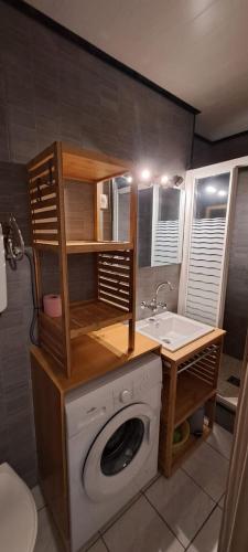 une salle de bain avec une machine à laver et un lavabo dans l'établissement Le P'tit Choux, à Le Mont-Dore