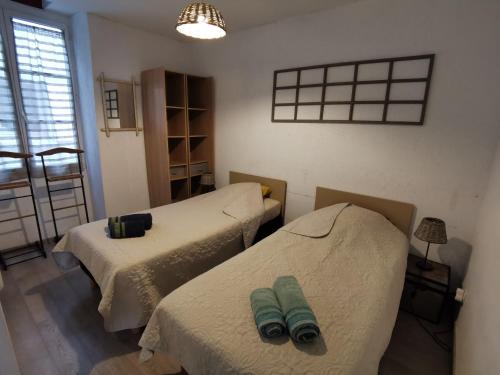una habitación con dos camas en una habitación en Appart La Gabare - face Loire Quai du Châtelet, en Orléans