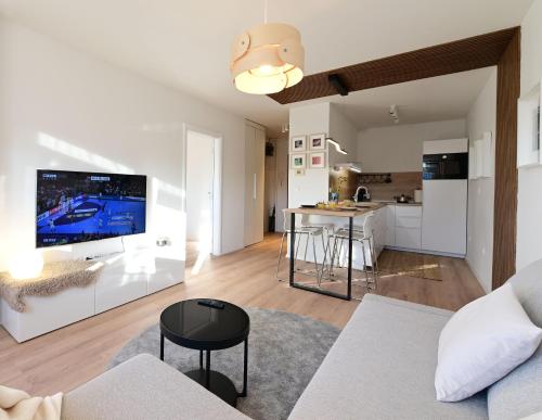 Delux apartment LA ARENA with private garage
