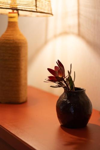 a black vase with a flower on a table at Le Grand Ker - Gîte de Charme in Plougasnou
