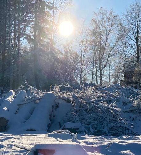 un campo cubierto de nieve con el sol en el fondo en Hubertusgrund, en Sankt Andreasberg