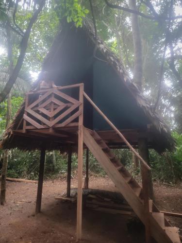 Photo de la galerie de l'établissement Madre Selva, à Puerto Maldonado