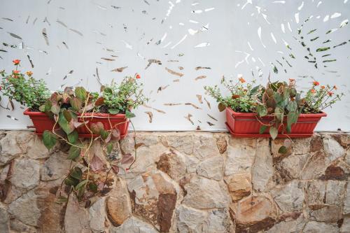 three plants in red pots on a stone wall at COLIBRI Gorgeous new flat with balcony and terrace in Cali