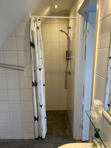 y baño con ducha y cortina de ducha. en Hobykrok B&B, en Lund