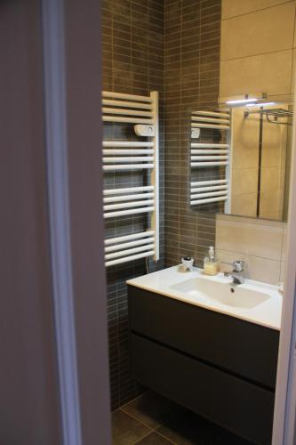 une salle de bain avec un lavabo et un miroir dans l'établissement Le Grenier d'Emma, à Potte