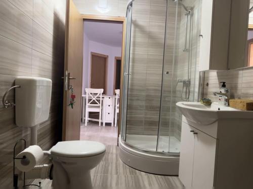 a bathroom with a shower and a toilet and a sink at Apartmani za radnike Stupno 