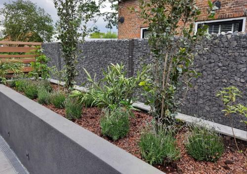 a garden with plants in front of a brick wall at Bramendijk in Groede