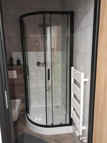 una doccia con una porta in vetro in un bagno di Orkiszówka a Szczawnica