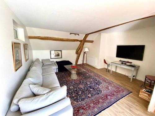 ein Wohnzimmer mit einem Sofa und einem TV in der Unterkunft Propriété en Sologne avec étangs in Villemurlin