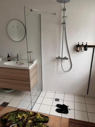 a bathroom with a shower and a sink at Højriisgaard B & B in Nørreby