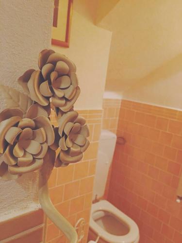 B&B Xenia – Photos 5