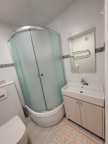 a bathroom with a shower and a toilet and a sink at Апартаменты in Rīga