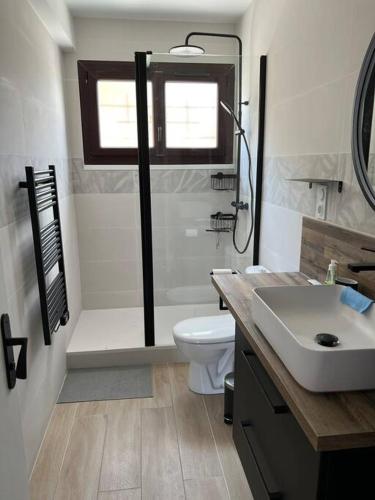 une salle de bain avec une douche, des toilettes et un lavabo dans l'établissement Havre de Livia, cosy T2 meuble proche plage, à Six-Fours-les-Plages