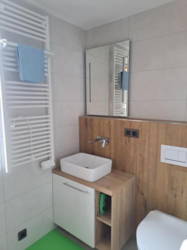 bagno con lavandino, servizi igienici e specchio di Horní Planá - Hůrka Apartmán Hannzi a Horní Planá