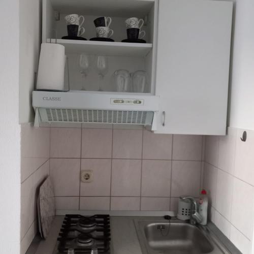 Kuchyň nebo kuchyňský kout v ubytování Apartments Anita
