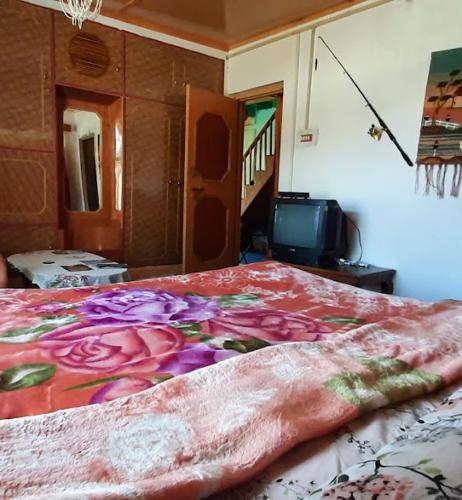 a bedroom with a bed and a tv in it at Gurez Retreat in Kanzalwan