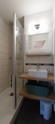 a bathroom with a sink and a shower at Boost Your Immo Aurans Réallon 666A in Réallon