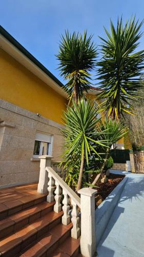 a staircase with two palm trees next to a building at Viento Del Norte in Pomar