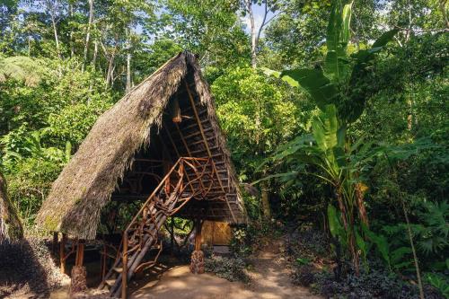 a thatch roofed hut in the middle of a forest at Magia Verde Lodge in Puerto Misahuallí