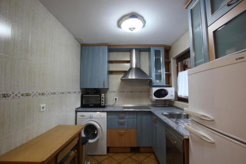 a kitchen with blue cabinets and a washer and dryer at Bonita casa de montaña en el Pirineo Central in Escarrilla