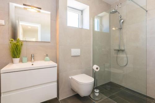 a bathroom with a shower and a toilet and a sink at Villa Miri Jasmine in Privlaka
