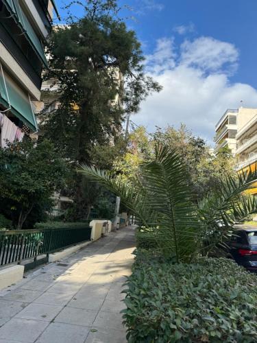 a palm tree on the side of a sidewalk at Cozy home in Nea Smirni in Athens