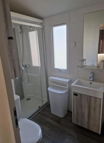 a bathroom with a shower and a toilet and a sink at MOBIL-HOME 3 CHAMBRES LA TESTE DE BUCH in La Teste-de-Buch