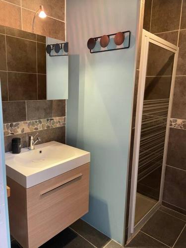 une salle de bain avec un lavabo et une douche dans l'établissement Grande maison familiale proche des plages, à Torreilles