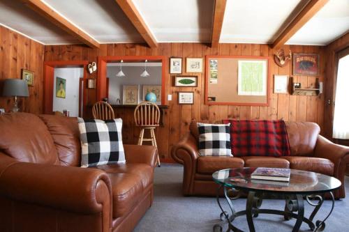 Χώρος καθιστικού στο Panther Mountain Lodge