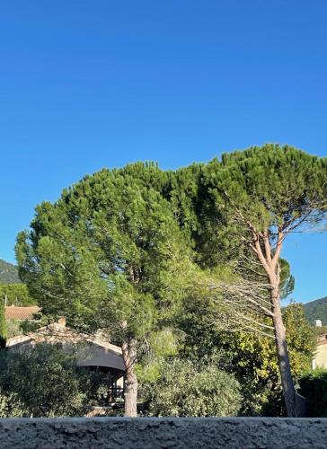 two trees in front of a hill with a house at Le Mas de Mirabel in Mirabel-aux-Baronnies