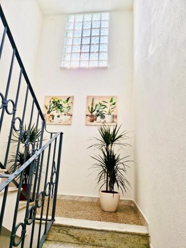 a hallway with a staircase with a potted plant at La Casa di Gió in Centro in Olbia