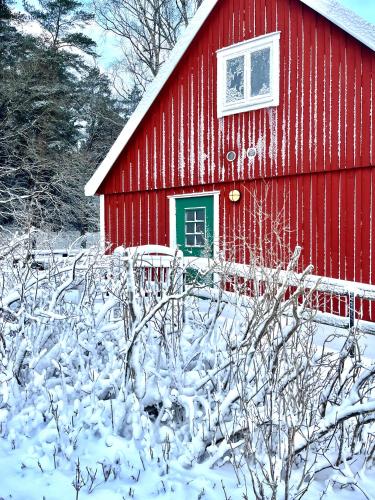Raftarp - Country side cottage in the woods v zimě
