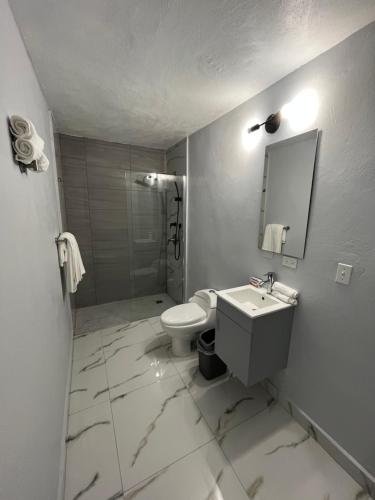ein Badezimmer mit einem Waschbecken, einem WC und einem Spiegel in der Unterkunft Molino’s House 4 in Santa Isabel