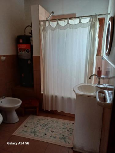 a bathroom with a shower and a sink and a toilet at Cactus y Almacen - Purmamarca in Purmamarca