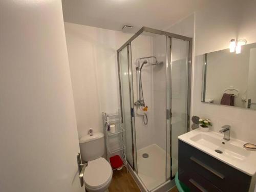 une salle de bain avec une douche, des toilettes et un lavabo dans l'établissement Agréable maison à Arcachon, à Arcachon