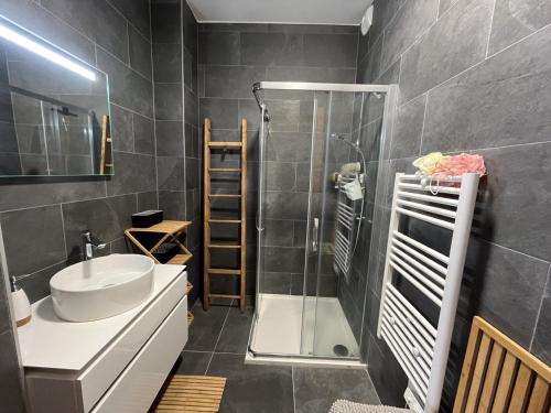 une salle de bain avec une douche, un lavabo et des toilettes dans l'établissement Châtel: Appartement neuf 4 pers, terrasse, parking, local à skis, wifi, ménage inclus - FR-1-198-261, à Châtel