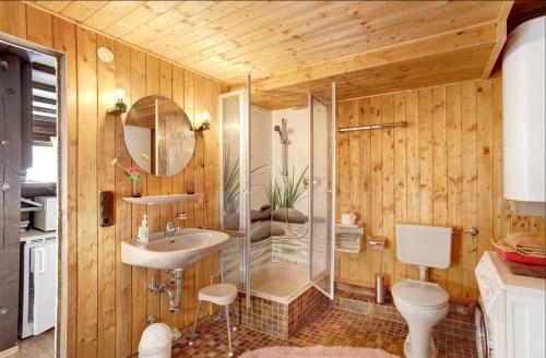 a bathroom with a shower and a sink and a toilet at Ferienhaus Geißler Meran in Molberting
