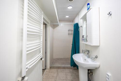 ein Bad mit einem Waschbecken und einer Dusche in der Unterkunft The heart of the ancient district 3BD-2BATH apartament in Tbilisi City