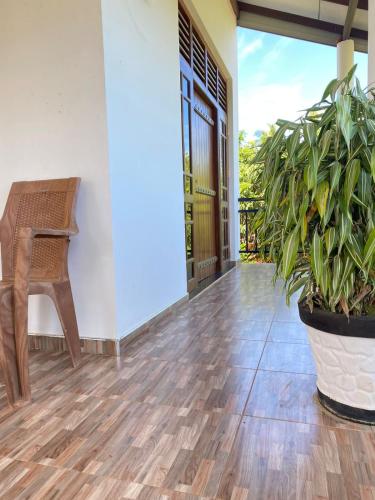 a porch with a chair and a potted plant at Wild Bee Safari Lodge in Udawalawe