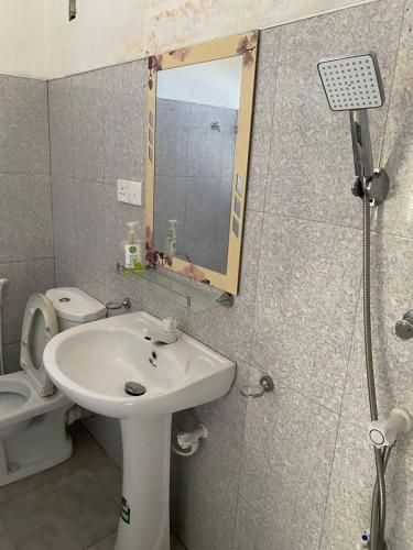 a bathroom with a sink and a mirror and a toilet at Wild Bee Safari Lodge in Udawalawe