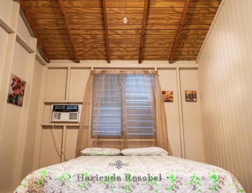 a bedroom with a bed and a window at Hacienda Rosabel in Ponce