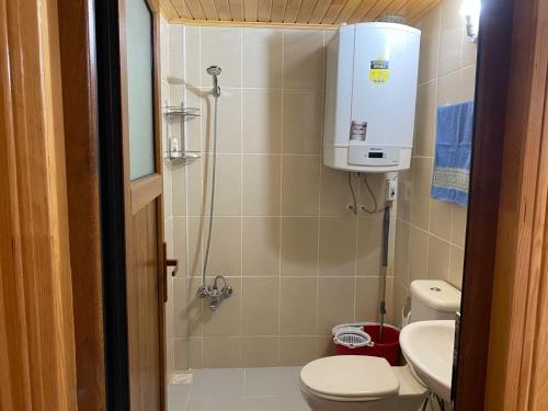 Sultan Murat YaylasiにあるYildirim Aile Pansiyonuの小さなバスルーム(トイレ、シャワー付)
