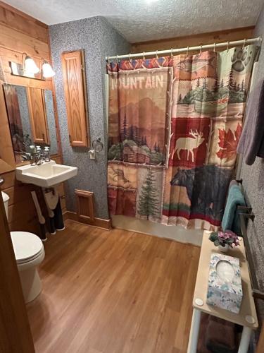a bathroom with a shower curtain and a sink at Misty Creek Log Cabins in Maggie Valley