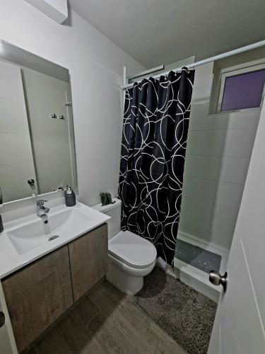 a bathroom with a sink and a toilet and a shower at departamento reñaca in Viña del Mar
