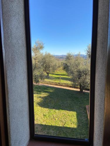 a view of a field from a window at CasaLeTolfe Residence in Siena