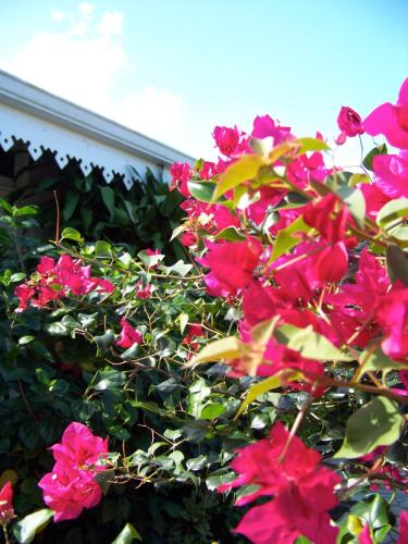 a bunch of pink flowers in front of a building at Relais Fenua in Punaauia
