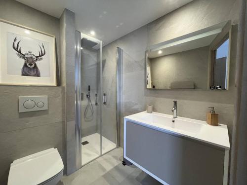 une salle de bain avec un lavabo, une douche et des toilettes dans l'établissement Alpe d'Huez Houses - Panoramique 4 chambres, sur piste avec piscine, à L'Alpe-d'Huez